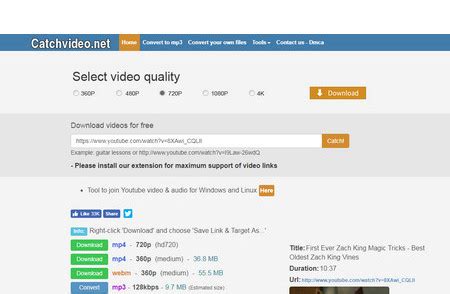 Get 4K Video. . Video downloader websites
